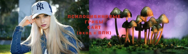дживик Новодвинск