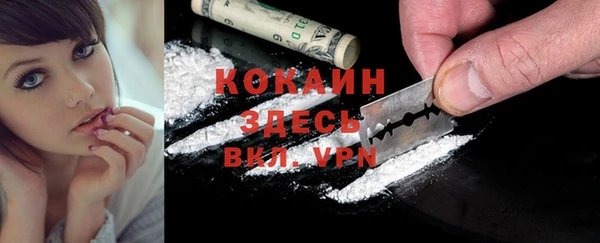 ешки Новозыбков