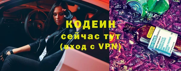 прущие грибы Тында