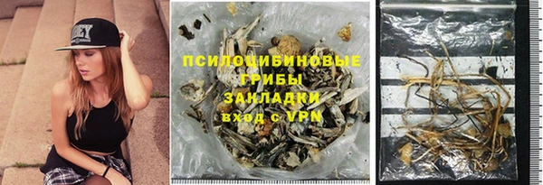 дживик Новодвинск