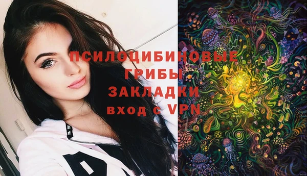 дживик Новодвинск