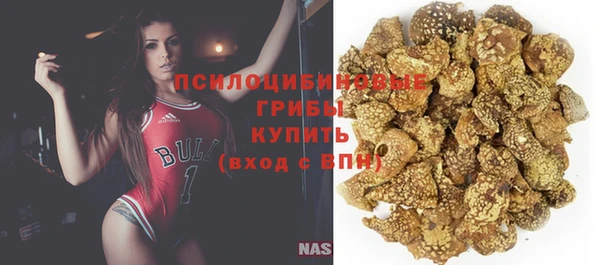 ешки Новозыбков