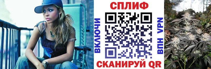 Каннабис семена  Томари 